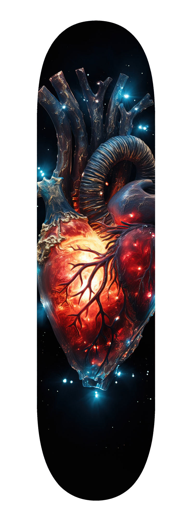 Heart